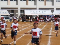 かけっこ一番でした。 2011/11/01 23:16:05
