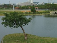 韓国ドラマ好きですか？ 2012/03/24 17:55:19