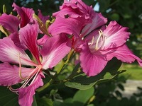 カメラ　入門 2011/11/19 19:42:12