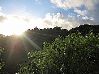 太陽大好き