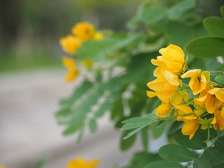カメラ　入門