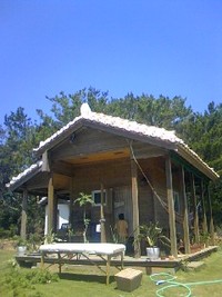 2011年10月10日