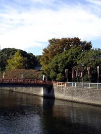 12月の現在状況 2005/12/09 00:22:08