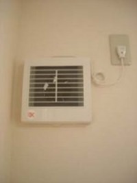 大家さんのサービス？！ 2006/04/29 08:41:00