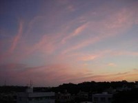 時差ボケ 2006/06/27 19:19:28