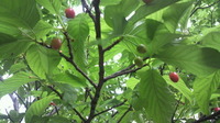 今日のスケジュール 2010/03/21 14:10:06