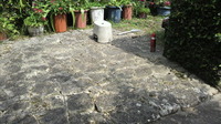 まだまだ 2010/03/22 11:19:43