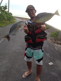 釣果報告 2015/06/26 22:31:07
