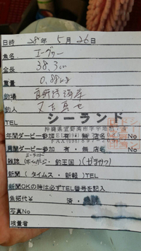 釣果報告 2016/06/02 01:42:04