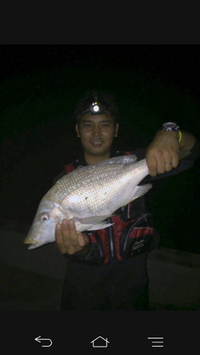 釣果報告 2015/06/15 00:46:00
