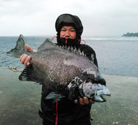 釣果報告 2016/03/26 23:33:22