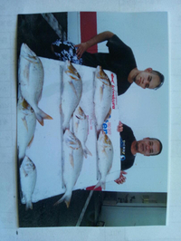 釣果報告 2015/07/22 14:28:08