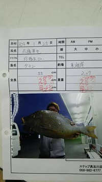 釣果報告 2017/01/30 16:41:53