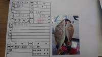 第22回  中間発見〜 2017/06/21 00:13:31