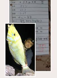 釣果報告 2018/03/22 23:40:05