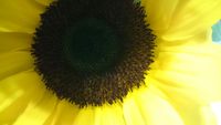 予約空き状況　　７月最新 2018/07/17 15:36:46