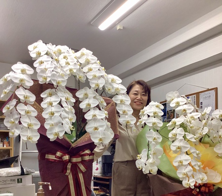 天井につきそうな大きな胡蝶蘭！
