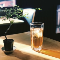 水出し茶のすゝめ 2020/07/11 13:16:00