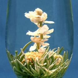工芸茶のご紹介
