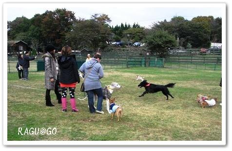 朝霧・秋のオフ会 終章