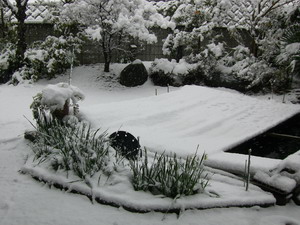 ２年ぶりの大雪