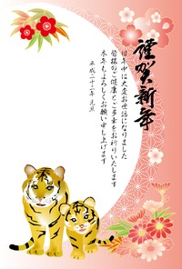 明けまして『寅年』 おめでとうございます。 2010/01/01 11:11:00