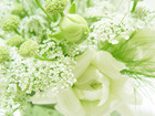 「Ｍ．Ｊ」 2009/12/09 23:50:12