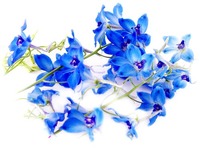 「80％」 2010/04/02 02:36:59