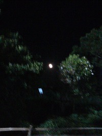 re. reposer 2011/08/22 01:02:46