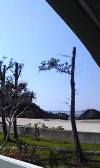 皆様にお知らせ 2011/04/20 20:52:20