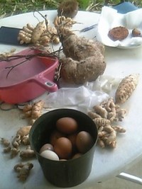 昨日は寝た。 2006/03/19 07:58:00