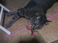 中々の 2010/05/12 14:39:09