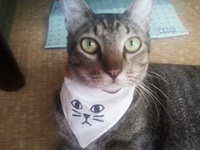 作業 2010/10/10 17:46:59
