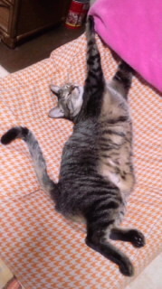 はしご酒 2012/02/04 14:18:31