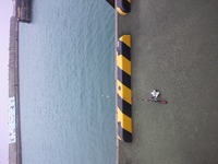 休憩中No.3 2012/05/04 21:30:17