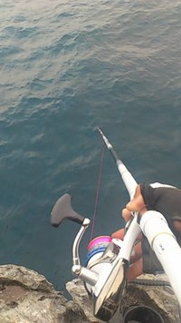 宜名真駐車場下 2012/05/01 15:47:05