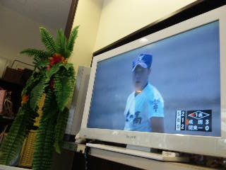 甲子園！！！