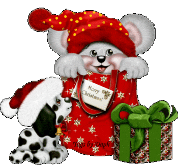 クリスマスギフト☆