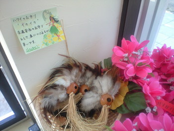 店内いろいろ