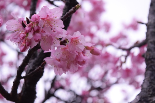 Spring!!