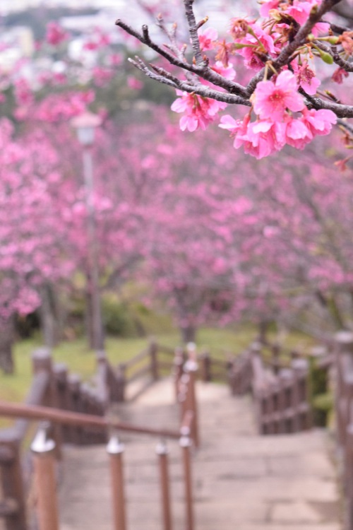 Spring!!