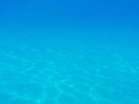 初夏！！