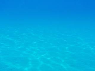 初夏！！