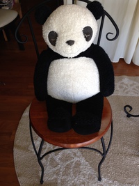 ヘッドセラピーの相棒 2013/10/24 17:58:04