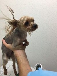 ♪サンタホテルHPリニューアル大計画♪