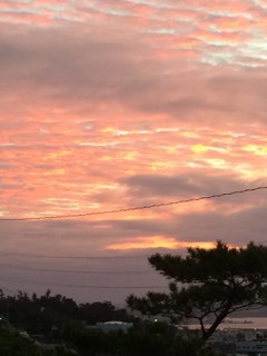 早起きしたらいい事あった！