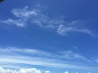 NOと言っても愛される♡ 2017/02/14 23:34:01