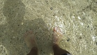 夏が来た。 2016/06/18 21:17:22