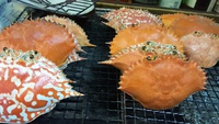 カニ～♪ 2016/06/17 00:09:00