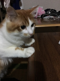 飯をくれと 2016/02/16 23:21:00